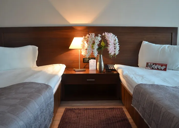 Hotel Phoenicia Express Bucareste