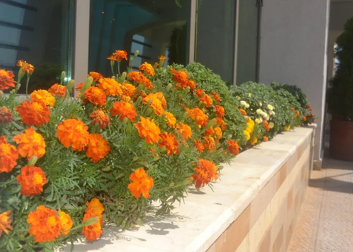 费尼基快捷酒店 4* 布加勒斯特