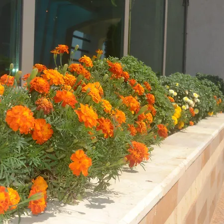 Phoenicia Express 4* Бухарест