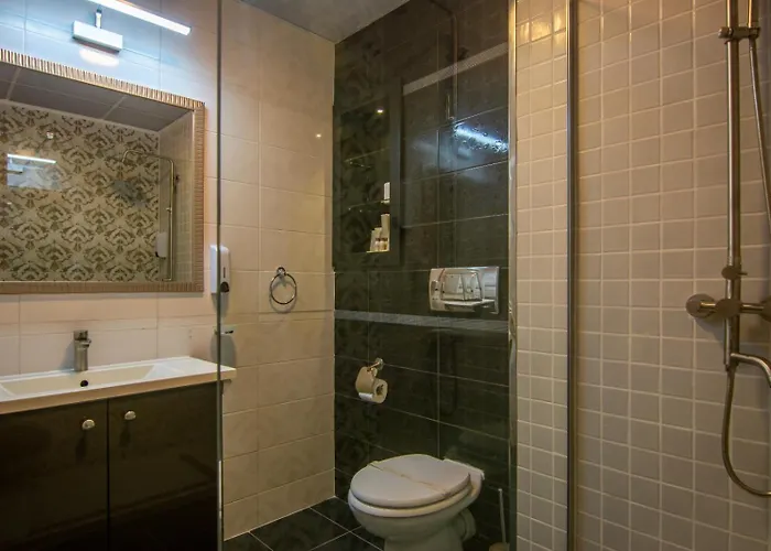 Phoenicia Express Бухарест