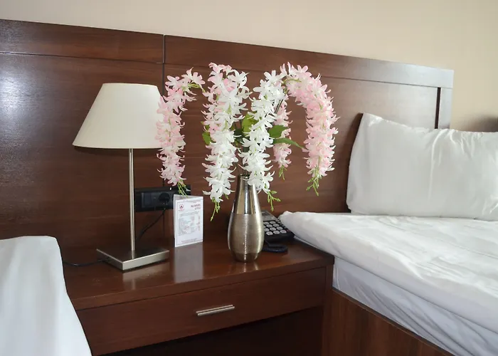 Hotel Phoenicia Express