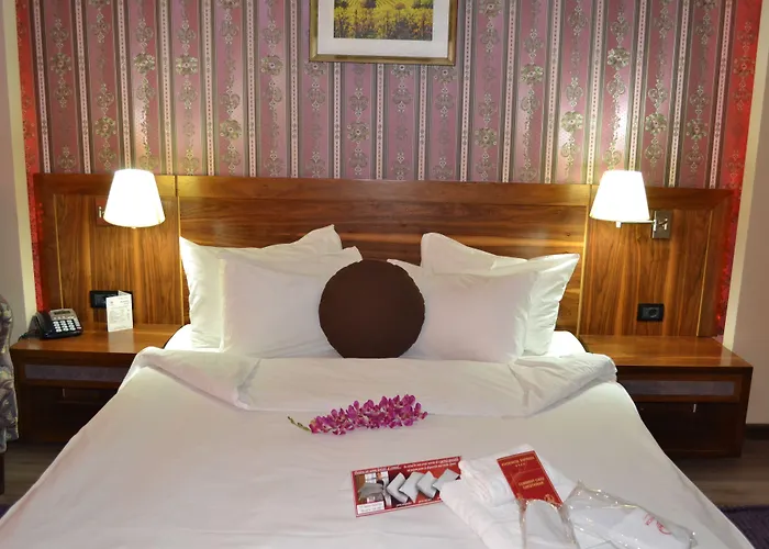 Phoenicia Express Bukarest